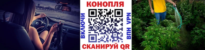 Купить где  Лысково  Шишки марихуана OG Kush 